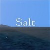 海岛世界salt中文版