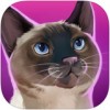 猫咪宾馆手游iOS版