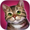 猫咪宾馆iPad版v2.1.6