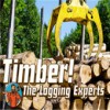 伐木工木材专家