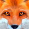 终极野狐模拟器