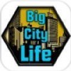中国城市生活模拟