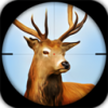 猎鹿狙击手狩猎游戏