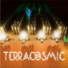 Terracosmic游戏