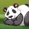 熊猫要午休