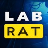 实验室老鼠游戏