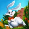 农场兔子赛跑
