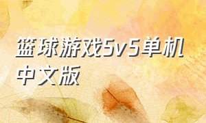 篮球游戏5v5单机中文版
