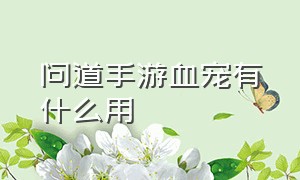 问道手游血宠有什么用（问道手游体木血宠推荐）