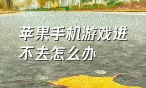 苹果手机游戏进不去怎么办