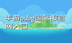 手游pubg国际服官网入口