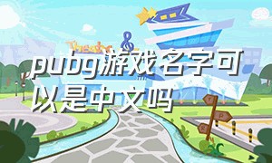 pubg游戏名字可以是中文吗