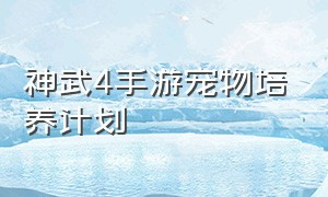 神武4手游宠物培养计划（神武4手游宠物成长率怎么提高）