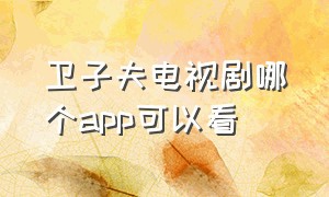 卫子夫电视剧哪个app可以看