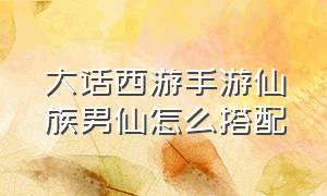 大话西游手游仙族男仙怎么搭配（大话西游手游男仙正确加点）