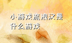 小游戏流浪汉是什么游戏