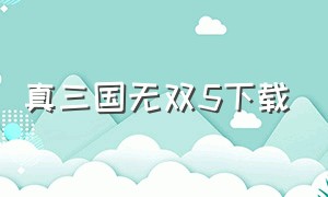 真三国无双5下载