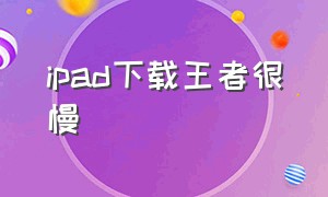 ipad下载王者很慢