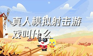 真人模拟射击游戏叫什么