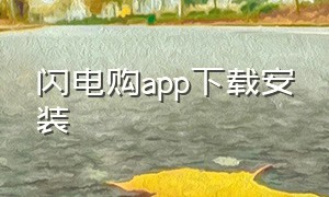 闪电购app下载安装