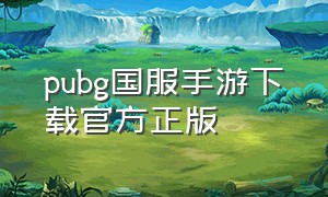 pubg国服手游下载官方正版