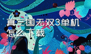 真三国无双3单机怎么下载（真三国无双3怎么下载电脑版免费）