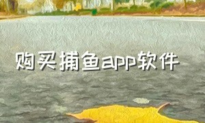 购买捕鱼app软件（购买货车app软件哪个最好）