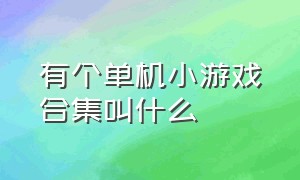 有个单机小游戏合集叫什么（有个单机小游戏合集叫什么游戏）