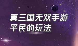 真三国无双手游平民的玩法