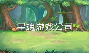 星魂游戏公司