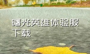 曙光英雄体验服下载