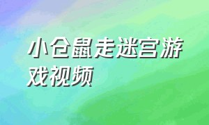 小仓鼠走迷宫游戏视频