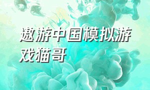 遨游中国模拟游戏猫哥