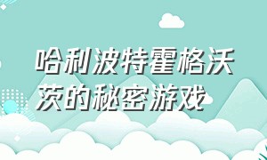 哈利波特霍格沃茨的秘密游戏（哈利波特霍格沃茨之谜游戏中文版）