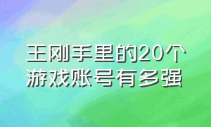 王刚手里的20个游戏账号有多强