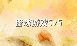 篮球游戏5v5