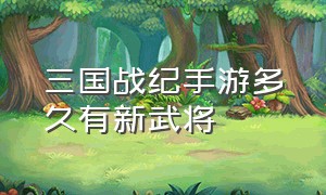 三国战纪手游多久有新武将