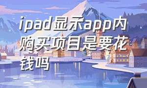 ipad显示app内购买项目是要花钱吗（ipad的app内购买项目是收费的吗）