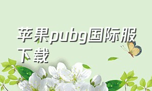 苹果pubg国际服下载（苹果怎么下载pubg国际服最简单）