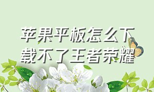 苹果平板怎么下载不了王者荣耀