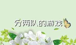 分两队的游戏