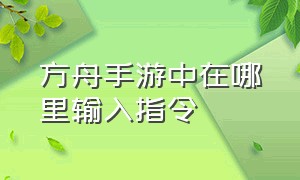 方舟手游中在哪里输入指令