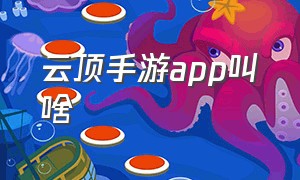 云顶手游app叫啥