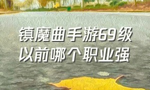 镇魔曲手游69级以前哪个职业强