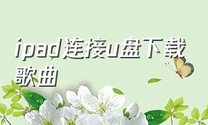 ipad连接u盘下载歌曲