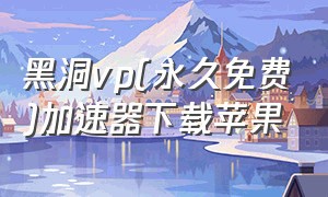 黑洞vp(永久免费)加速器下载苹果