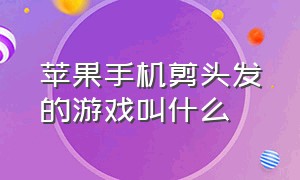 苹果手机剪头发的游戏叫什么