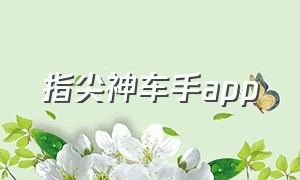 指尖神车手app