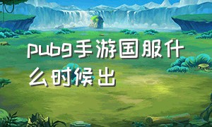 pubg手游国服什么时候出（pubg手游国际服怎么下载）