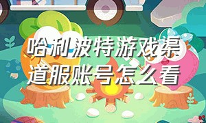 哈利波特游戏渠道服账号怎么看